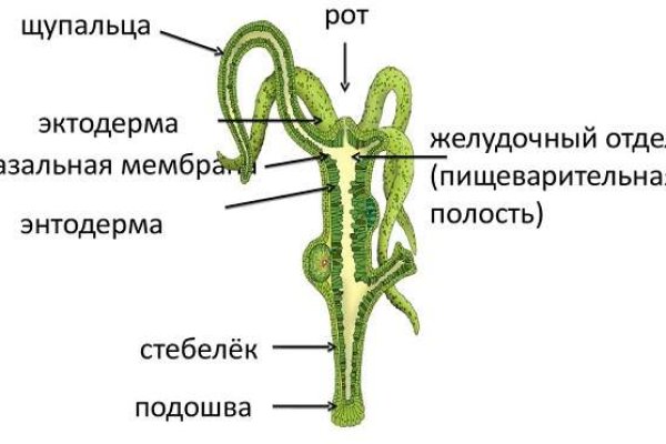 Кракен официальный сайт онион